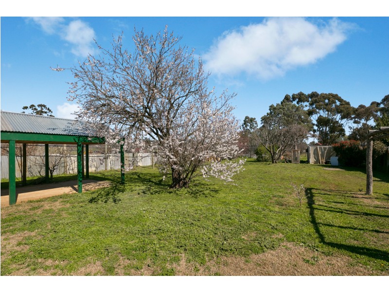 12 Campbell Street, Newstead VIC 3462