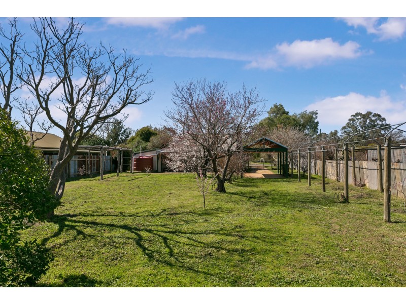 12 Campbell Street, Newstead VIC 3462