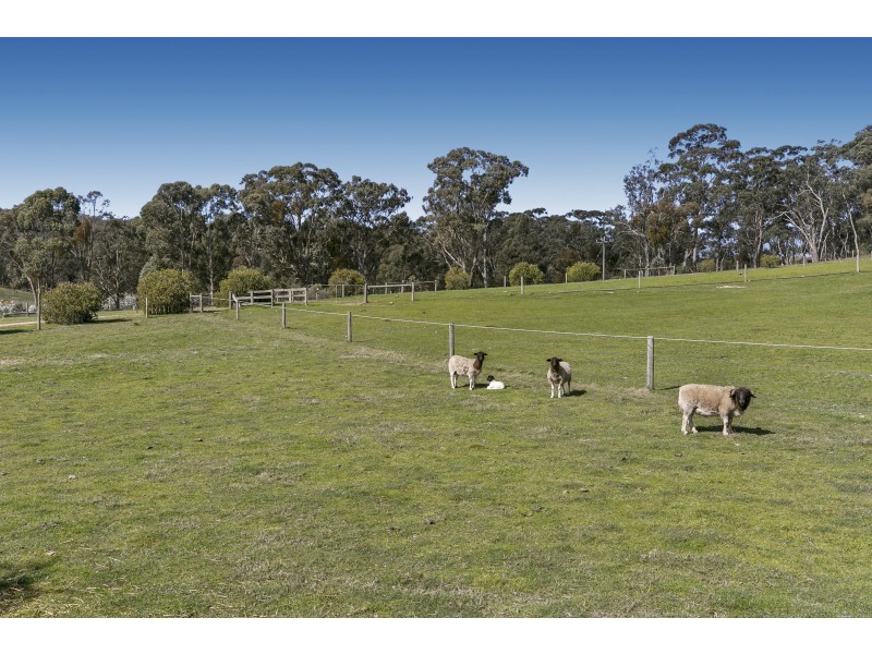 527 Pyrenees Highway, Chewton VIC 3451