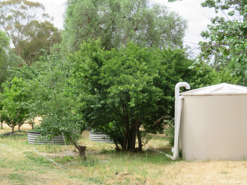 56 Godfrey Street, Wedderburn VIC 3518