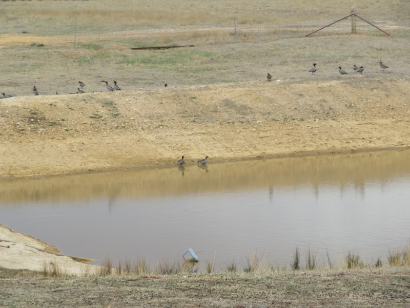 4924 Stawell-Avoca Road, Frenchmans VIC 3384