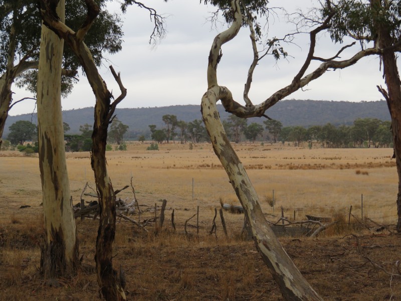 4924 Stawell-Avoca Road, Frenchmans VIC 3384