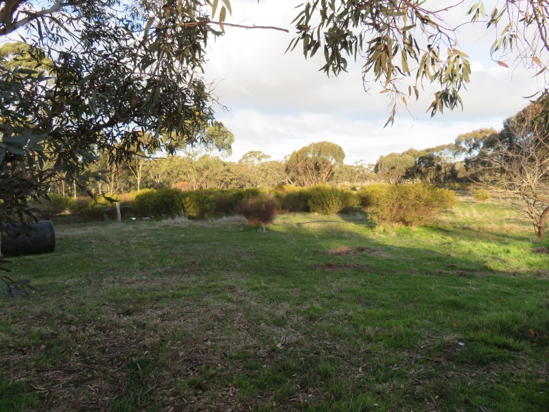 453 Nine Mile South Road, Wedderburn VIC 3518