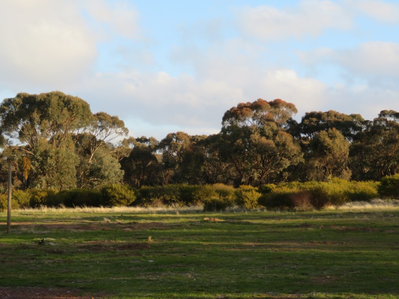 453 Nine Mile South Road, Wedderburn VIC 3518