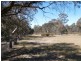 453 Nine Mile South Road, Wedderburn VIC 3518