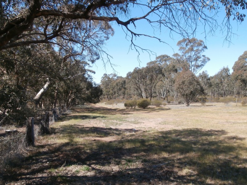 453 Nine Mile South Road, Wedderburn VIC 3518