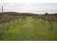 70 Clay Gully Lane, Mcintyre VIC 3472