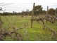 70 Clay Gully Lane, Mcintyre VIC 3472