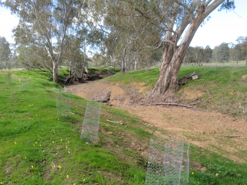 29 Burnt Creek Lane, Dunolly VIC 3472