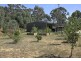 1 St Arnaud Road, Wedderburn VIC 3518