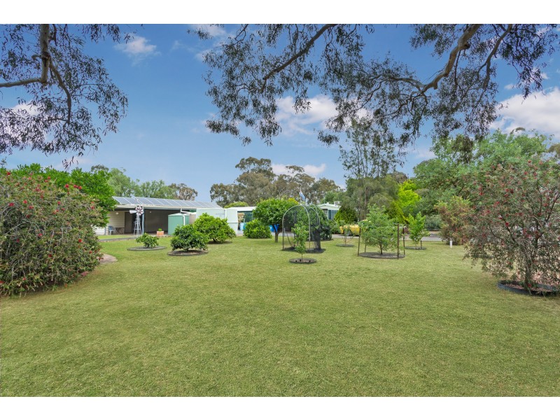 20 Oshanassy Street, Baringhup VIC 3463