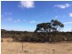 Lot 11 Gibson Road, Wedderburn VIC 3518