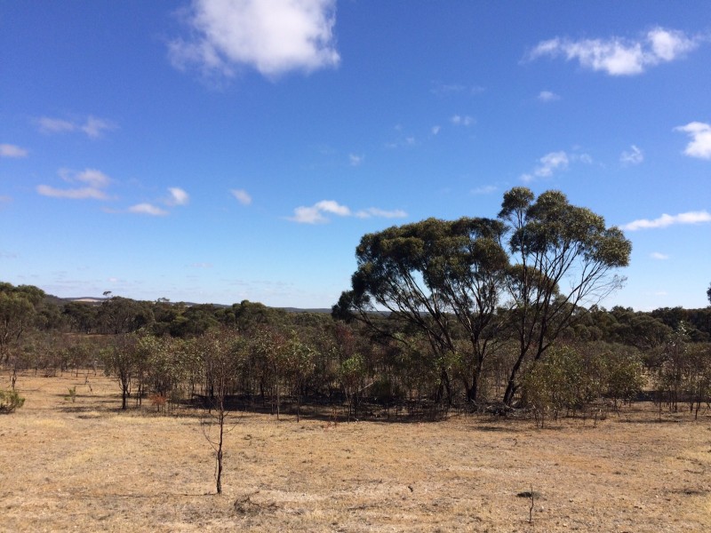 Lot 11 Gibson Road, Wedderburn VIC 3518
