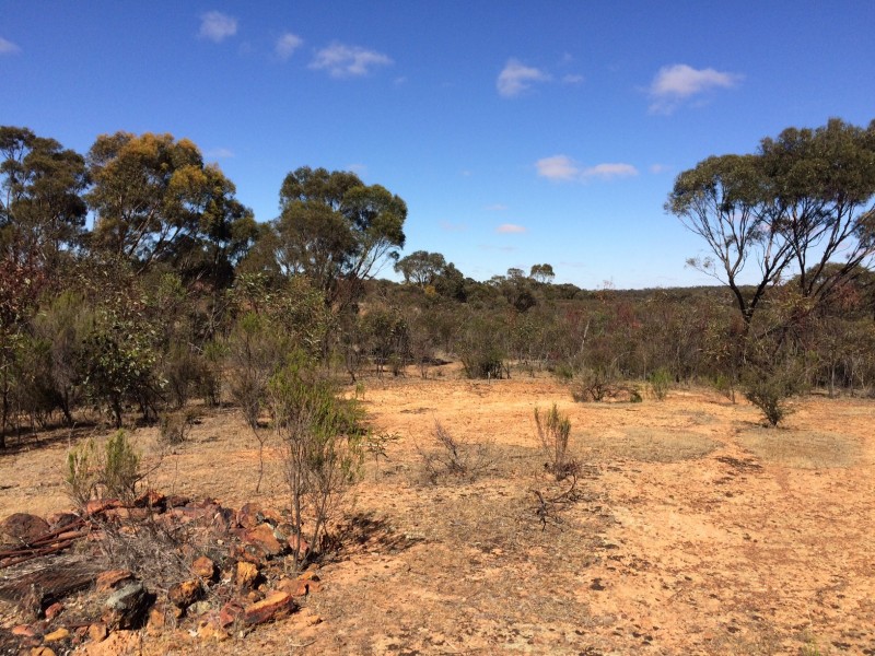 Lot 11 Gibson Road, Wedderburn VIC 3518
