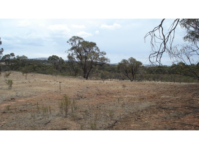 Lot 11 Gibson Road, Wedderburn VIC 3518