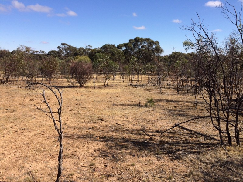 Lot 11 Gibson Road, Wedderburn VIC 3518