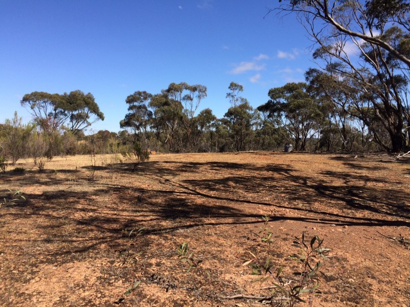 Lot 11 Gibson Road, Wedderburn VIC 3518