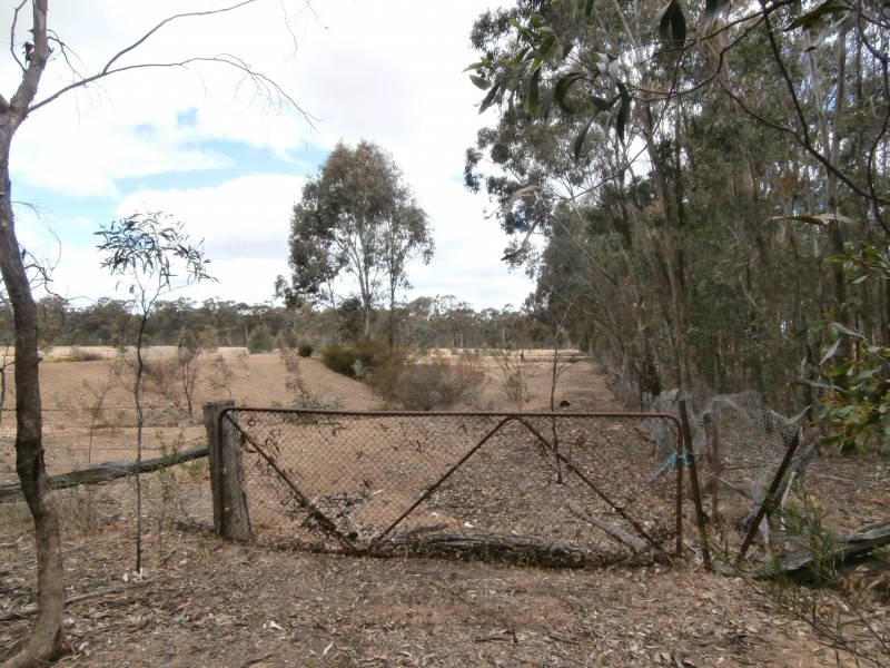 Lot 1 Old Pipe Clay Road Kingower via Inglewood, Kingower VIC 3517