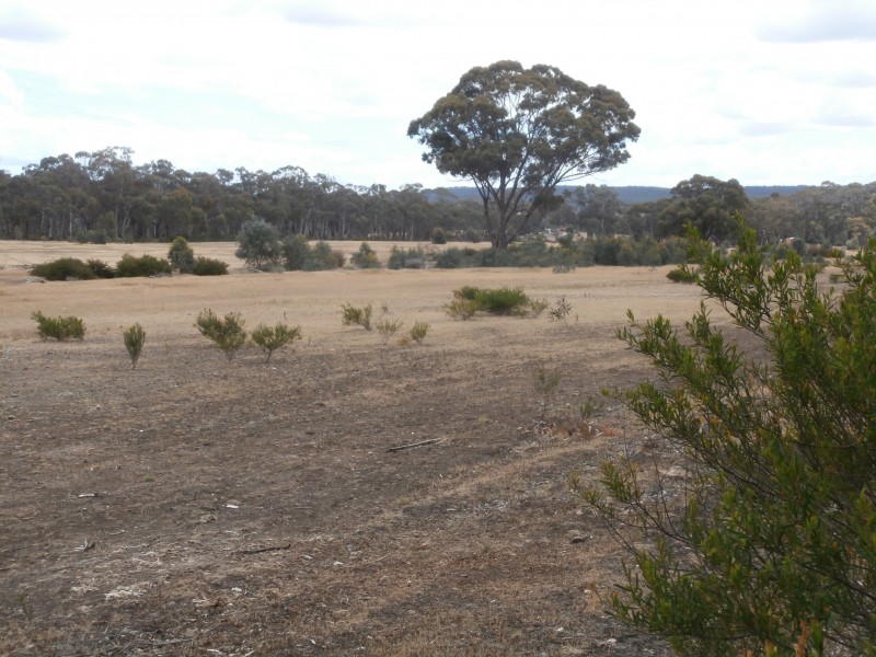 Lot 1 Old Pipe Clay Road Kingower via Inglewood, Kingower VIC 3517