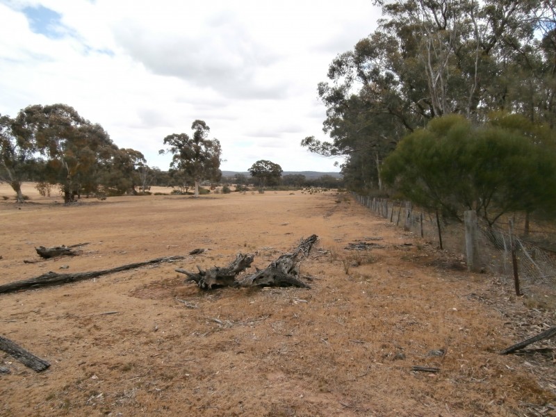 Lot 1 Old Pipe Clay Road Kingower via Inglewood, Kingower VIC 3517