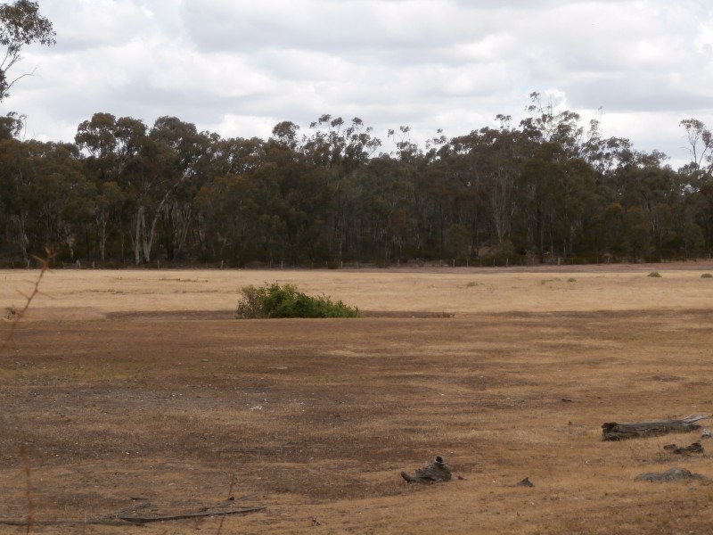 Lot 1 Old Pipe Clay Road Kingower via Inglewood, Kingower VIC 3517