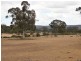 Lot 1 Old Pipe Clay Road Kingower via Inglewood, Kingower VIC 3517