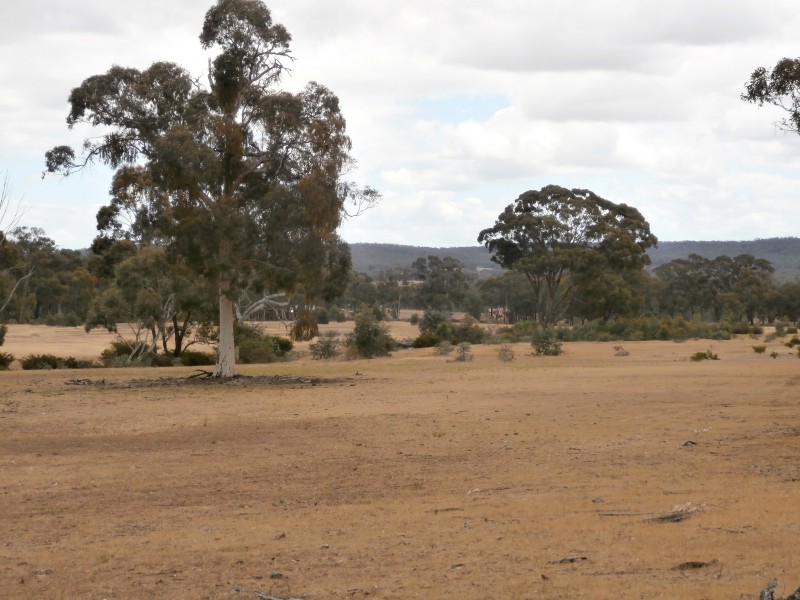 Lot 1 Old Pipe Clay Road Kingower via Inglewood, Kingower VIC 3517