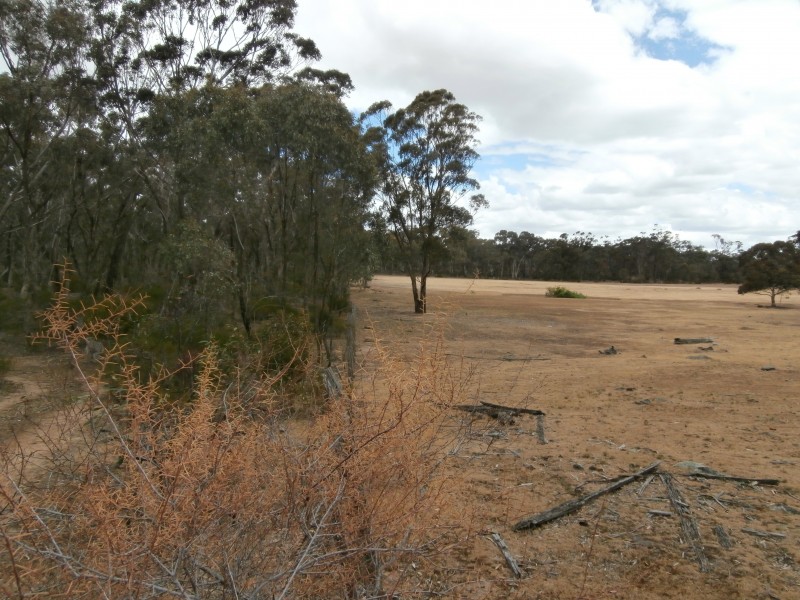 Lot 1 Old Pipe Clay Road Kingower via Inglewood, Kingower VIC 3517