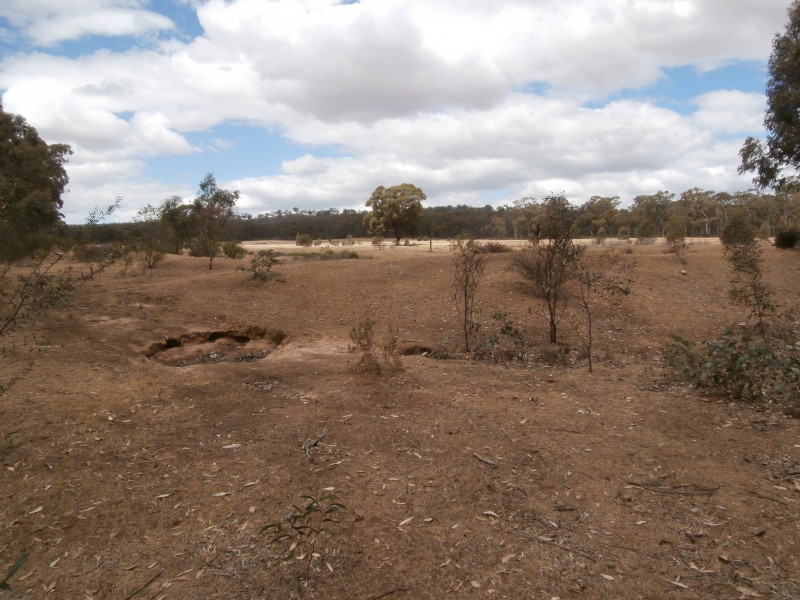 Lot 1 Old Pipe Clay Road Kingower via Inglewood, Kingower VIC 3517