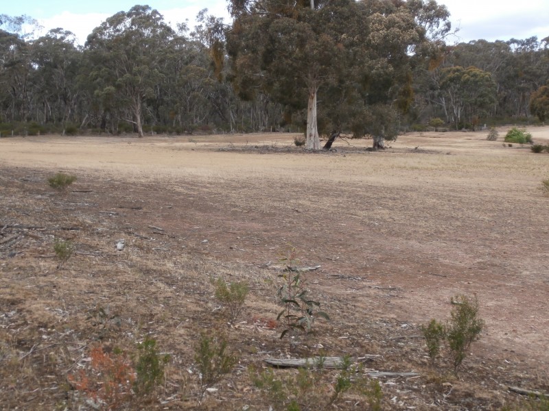 Lot 1 Old Pipe Clay Road Kingower via Inglewood, Kingower VIC 3517