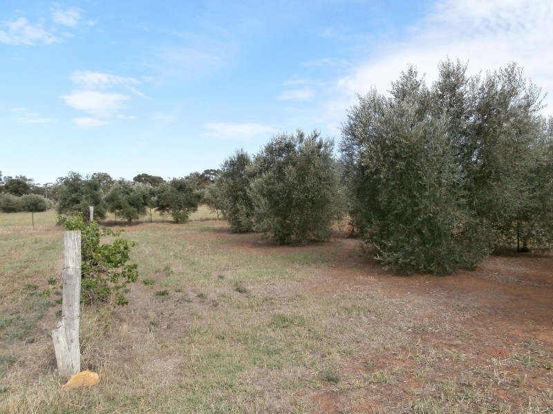 63 Sandhurst Street, Raywood VIC 3570