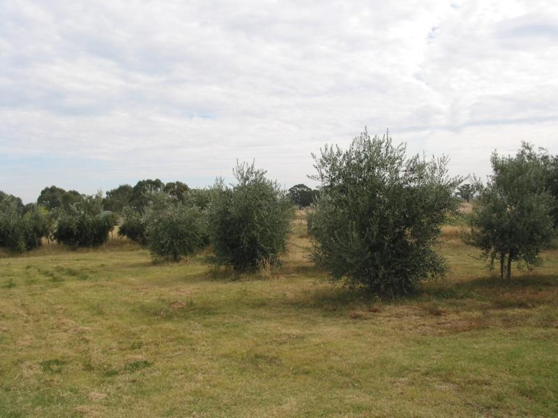 63 Sandhurst Street, Raywood VIC 3570