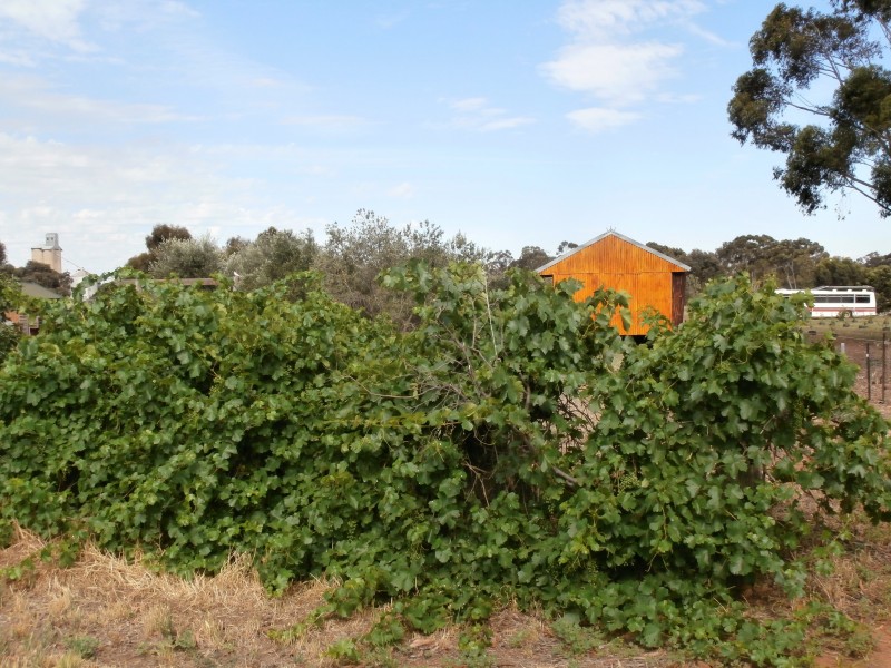 63 Sandhurst Street, Raywood VIC 3570