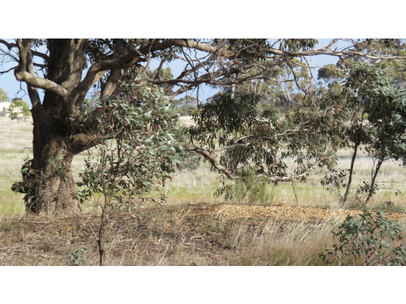 2A NEWBRIDGE ARNOLD ROAD, Newbridge VIC 3551