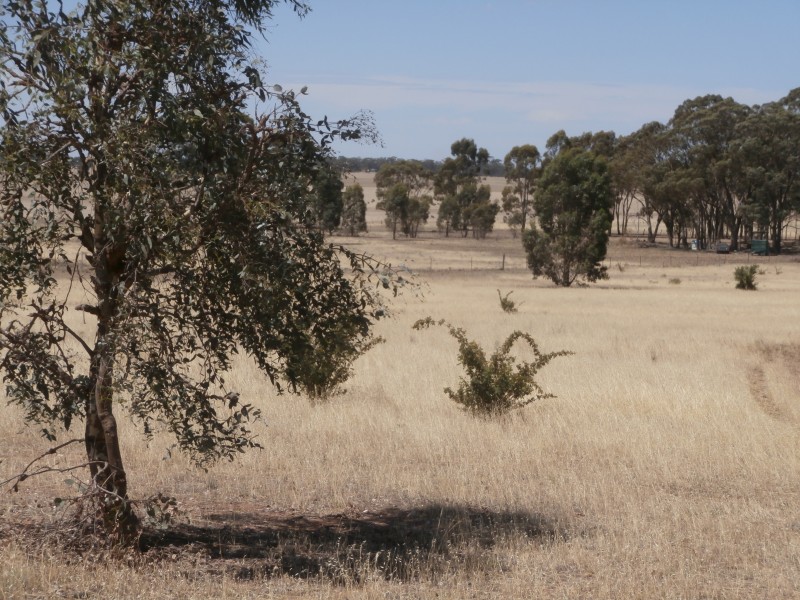 2A NEWBRIDGE ARNOLD ROAD, Newbridge VIC 3551