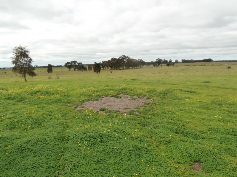 2A Newbridge-Arnold Road, Newbridge VIC 3551