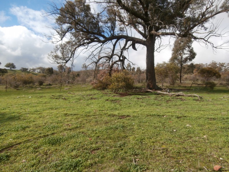 500 Rostron/Stuart Mill Road, Rostron VIC 3477