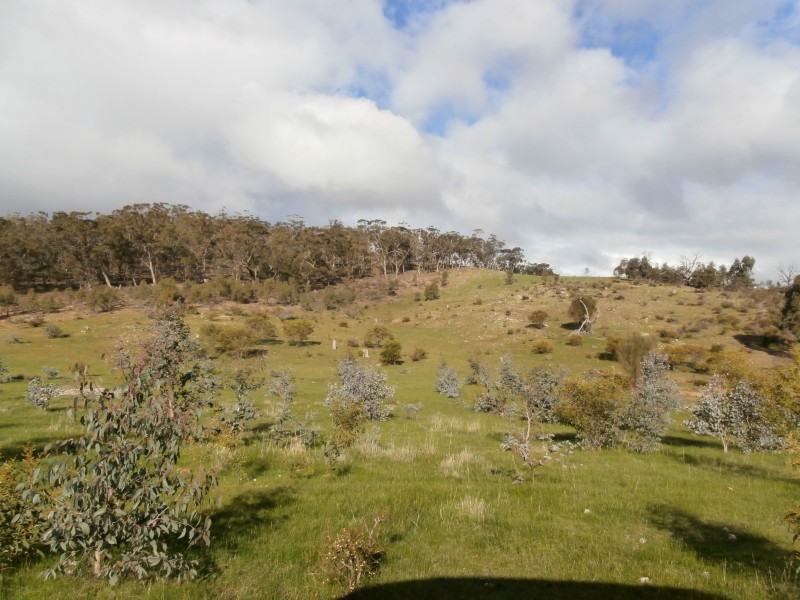 500 Rostron/Stuart Mill Road, Rostron VIC 3477