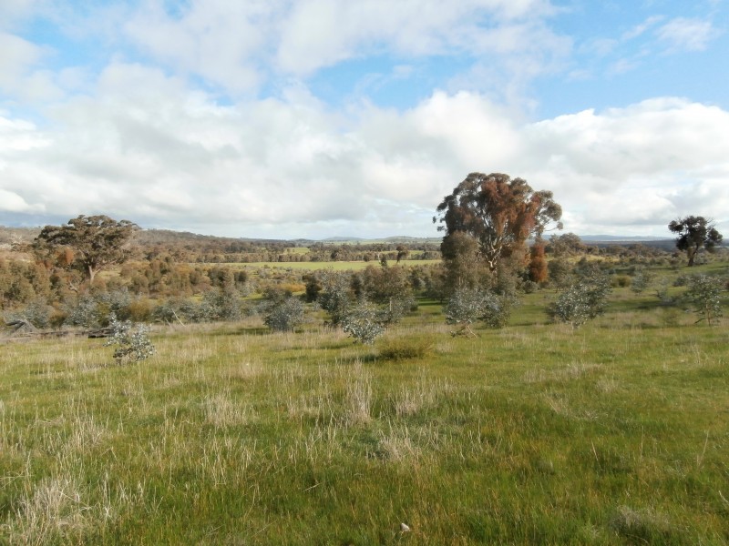 500 Rostron/Stuart Mill Road, Rostron VIC 3477