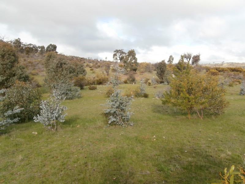 500 Rostron/Stuart Mill Road, Rostron VIC 3477