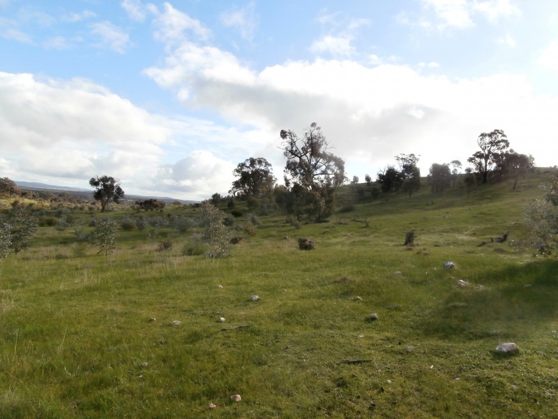 500 Rostron/Stuart Mill Road, Rostron VIC 3477