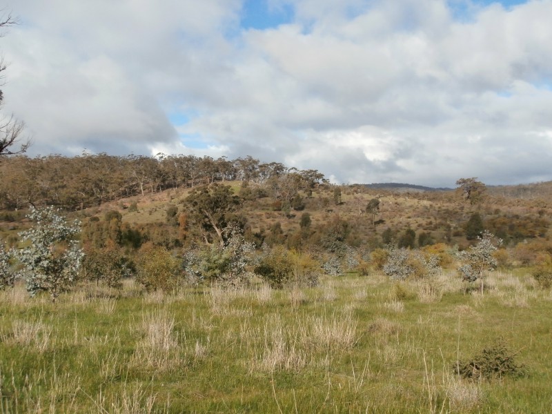 500 Rostron/Stuart Mill Road, Rostron VIC 3477