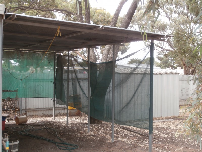 8 Fanning Street, Charlton VIC 3525