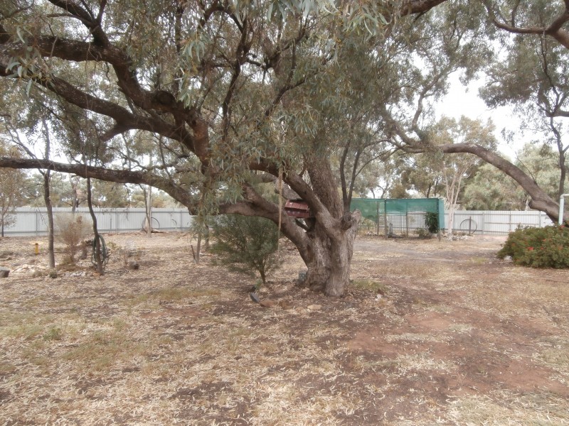 8 Fanning Street, Charlton VIC 3525