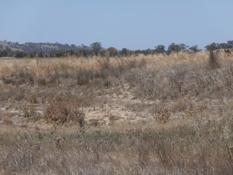 200 Old St Arnaud-Wedderburn Road, Gower VIC 3451