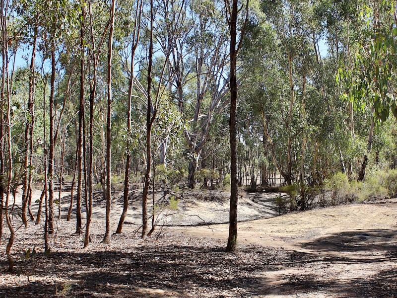 6 Ansen Road, Eppalock VIC 3551