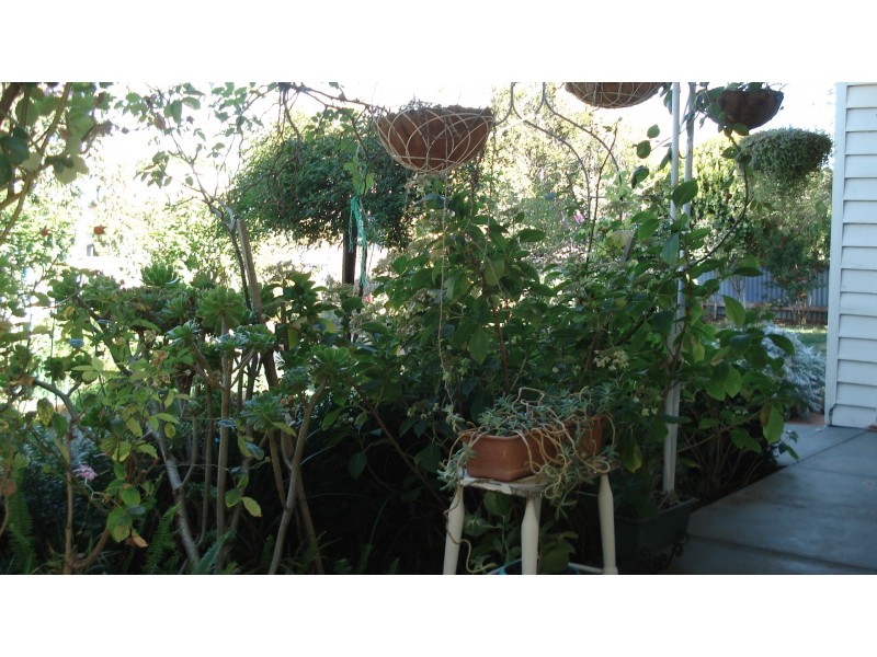 58 Alma Street, St Arnaud VIC 3478