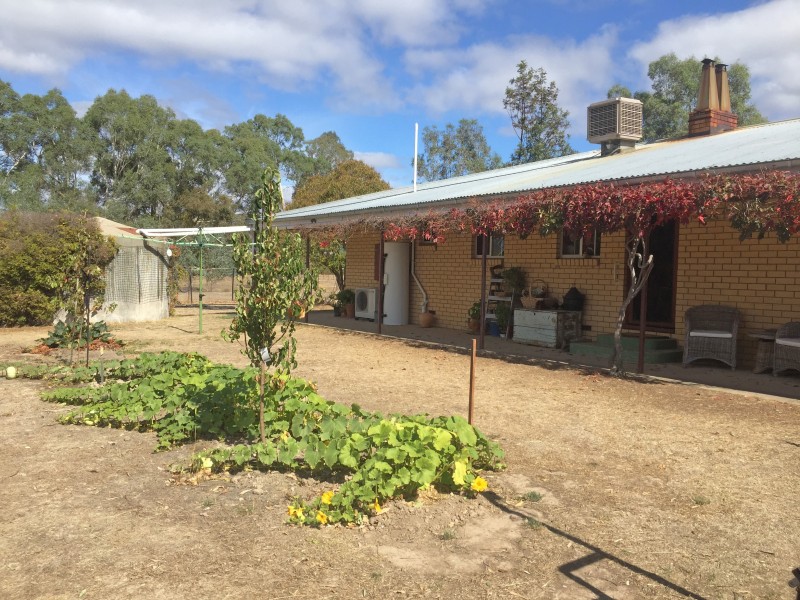 309 Sinclairs Lane, Walmer VIC 3463