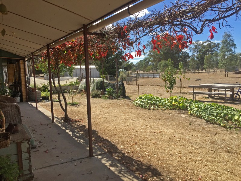 309 Sinclairs Lane, Walmer VIC 3463