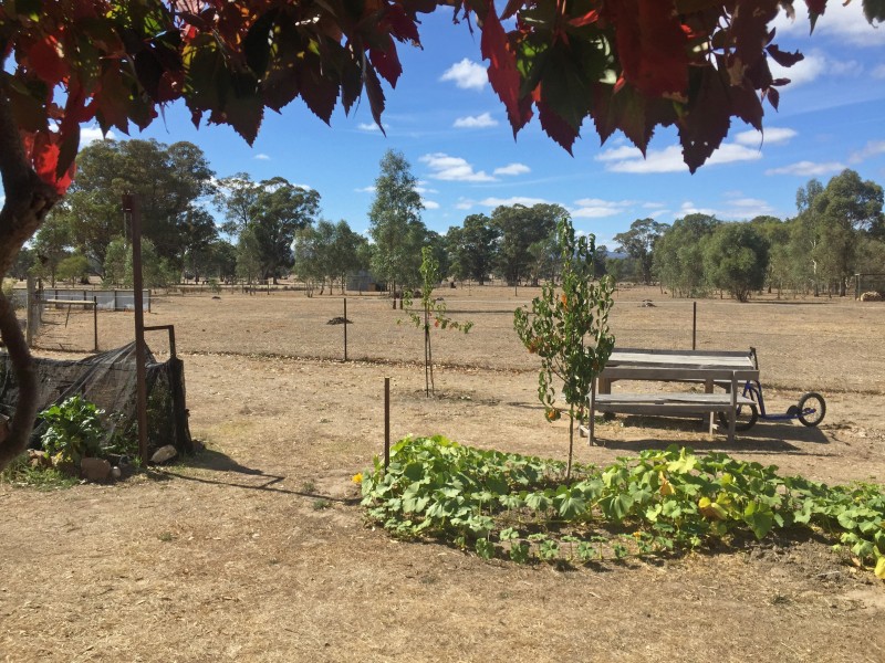 309 Sinclairs Lane, Walmer VIC 3463